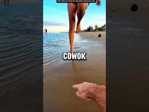 COWOK INI SUKA NEMU BARANG BERBAHAYA DIPANTAI😱 thumbnail