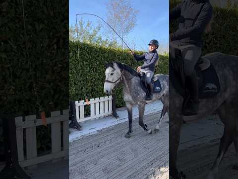 The ending 😭 Didn’t expect him to swallow it whole 😂 #equestrian #stallion #horses #horseriding thumbnail