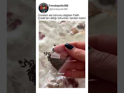 Ücretsiz Aldığı Doğal Ata Tohumlarını Gösteren Kadın?? thumbnail