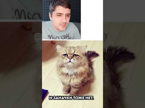 Мем про тайну thumbnail