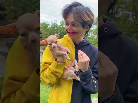 Whose Dog Is The Fastest? 🐕 thumbnail