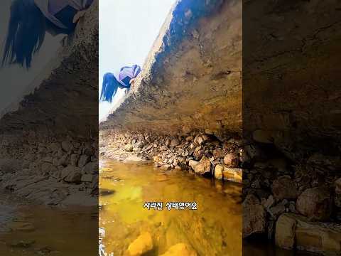 좋은 일을 했는데 욕까지 먹은 여성 thumbnail