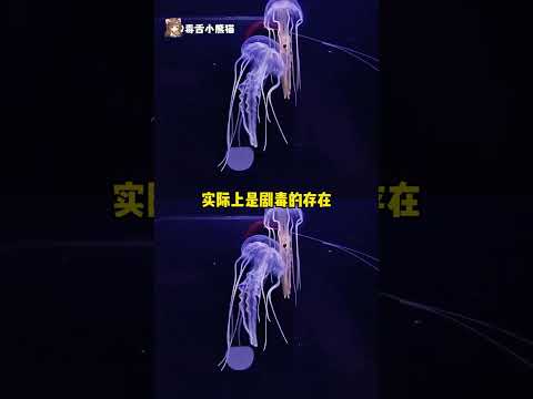 水母的设定也太带感啦 #水母 #oc #设定 #万万没想到 thumbnail