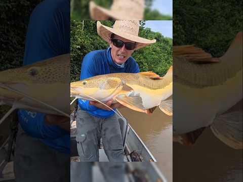 Buổi câu cá yên bình... bị hai sinh vật đáng sợ phá hỏng! thumbnail