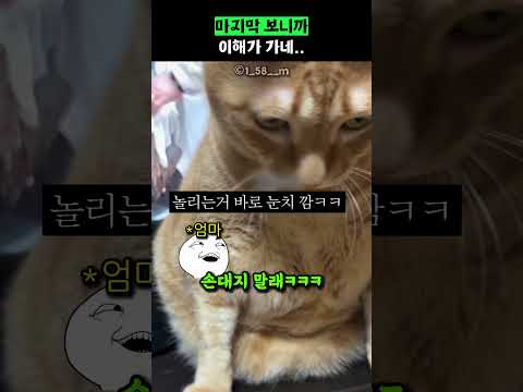 마지막 보니까 이해가 가네.. thumbnail