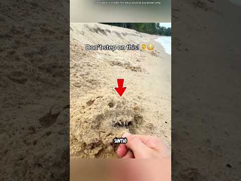 ¡No cometas este error en la playa! 😱 thumbnail