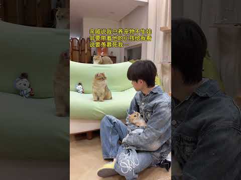【牛奶是只猫】猫：他啥时候走？？？ thumbnail