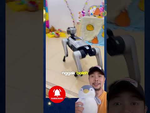 DOGGIE robotic pengen berteman dengan kalian!!? #shortsvideo #doggie #robot #funny thumbnail