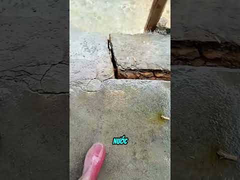 Chọn ngày đẹp đổ bê tông móng nhà thumbnail