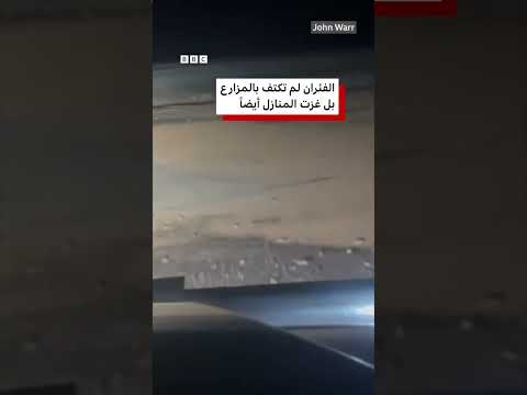 "غزو الفئران" يرعب المزارعين في أستراليا thumbnail