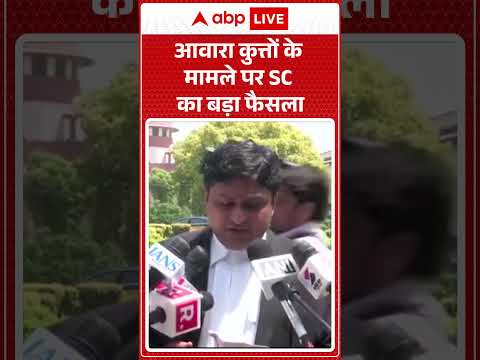 Supreme Court On Street Dogs : आवारा कुत्तों के मामले पर SC का बड़ा फैसला |ABPLIVE thumbnail