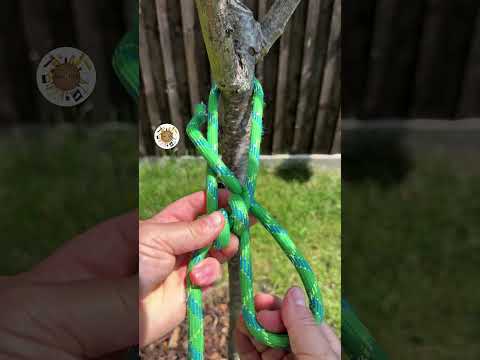 Perfect Knots here thumbnail