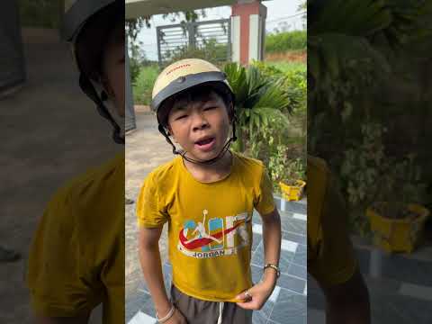 Cách trị em trai suốt ngày đòi đi chơi | Tippi Fmaily #tippitv thumbnail