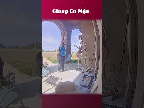 Vậy đó mà vui cả ngày 📦 #giangcuman thumbnail