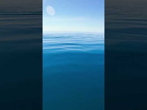 Paddle Board Hits Different In Deep Water.. thumbnail
