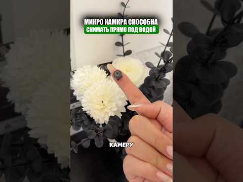 Микро камера для любых задач thumbnail
