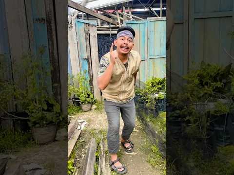 MBG MAS BAHIL GANTENG, buah apa yang paling manis ? thumbnail