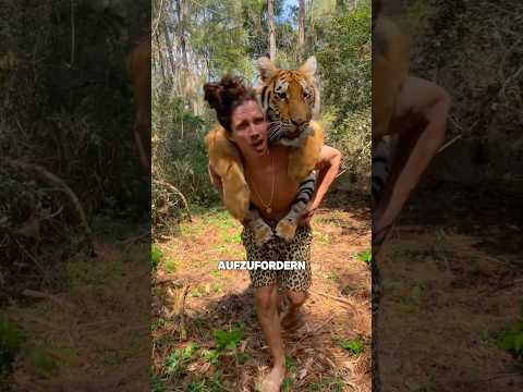 Er lebt mit Löwen und Tigern zusammen 🤯 #shorts thumbnail