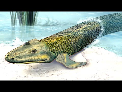 evolution thumbnail