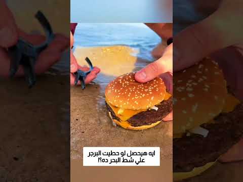 ايه هيحصل لو حطيت البرجر علي شط البحر ده؟! thumbnail