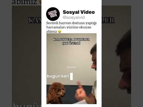 Sevimli hayvan dostuna yaptığı harcamaları yüzüne okuyan abimiz ? thumbnail