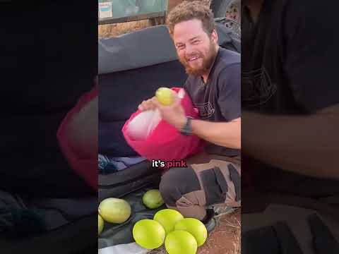 THERE'S ANOTHER MELON! 🤣 BEST prank of the YEAR!🍈🍈🍈 thumbnail