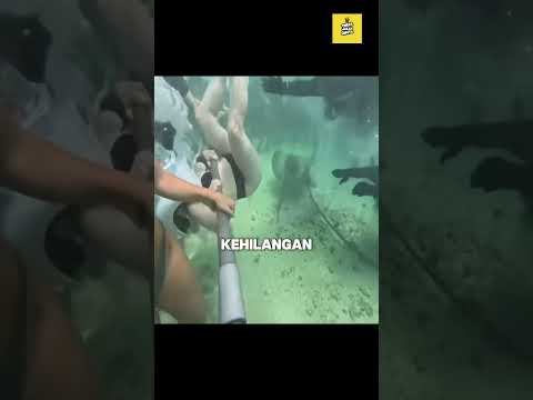 Liburan yang berakhir mengerikan! thumbnail