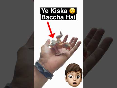 Ye kiska baccha Mila ? | Again Bagheera thumbnail
