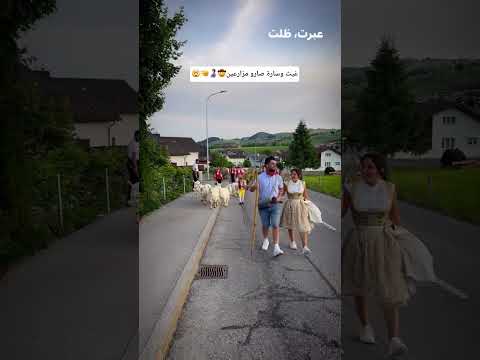 تجربة غيث وسارة لأجواء المزارعين في سويسرا 🇨🇭🤠 #saraaalwari #غيث_مروان #سويسرا #تجربة #مزارع #سارة thumbnail