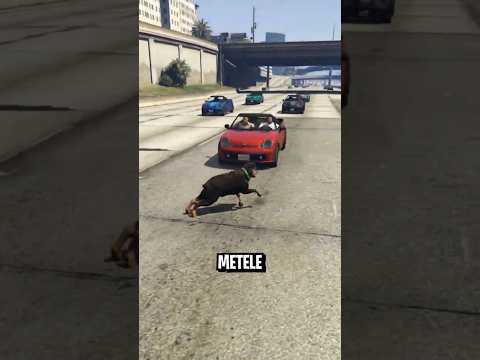 Qué ANIMAL puede CRUZAR la CALLE en GTA 5 #gta #gta5 thumbnail