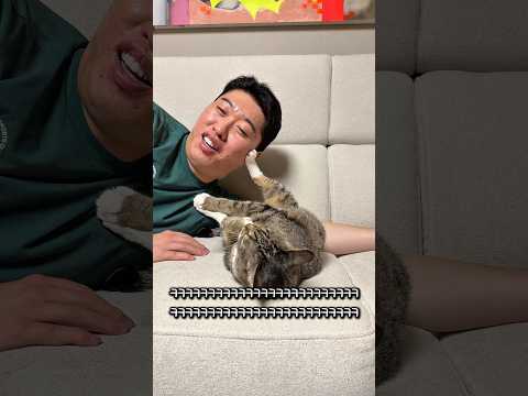 아빠 발베개 해주는 고양이 thumbnail