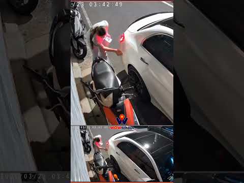 【車禍影片】這樣倒車技術真的不配開車（車號：BLT-9685）（2026.03.23 新北市樹林區三龍街14巷 thumbnail