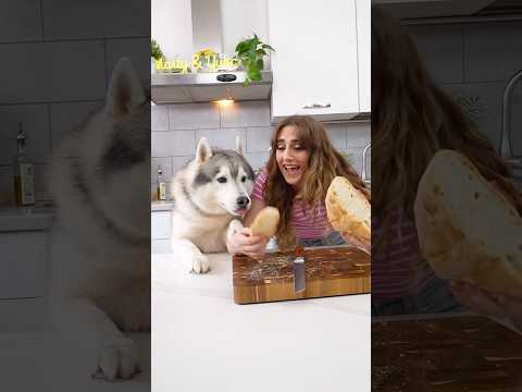 POV: Vuoi mangiare una fetta di PANE MA hai DUE CANI🫣🐶😂 #comedy #comico #dogchallenge #dog #cani thumbnail