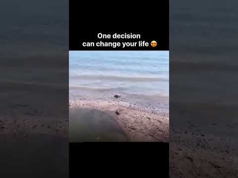 One decision can change your life ? thumbnail