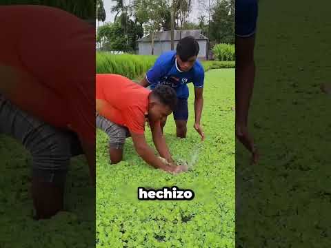 Encontré Oro En El Río 😱 thumbnail