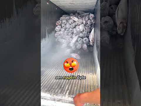 Usta Naptın Bütün Balıklar Dökülüyor! Şok Eden Kaza ?? thumbnail