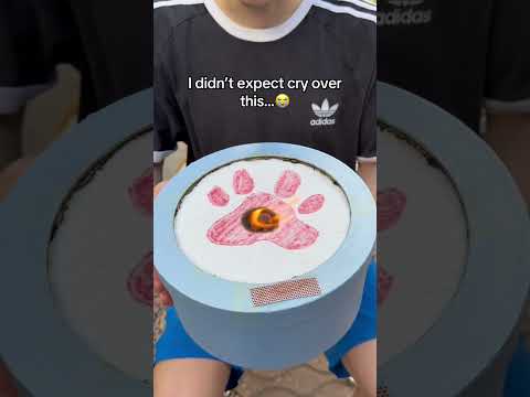 So cute ?❤️ #dogs #dogloss #dogsoftiktok #pets #giftsideas thumbnail