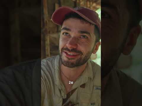 domek na drzewie thumbnail