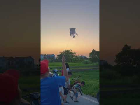Diều bao tải của Đại Gia Văn Quý #thadieu #dieusao #thadieusao  #shorts #caulongbocondua thumbnail