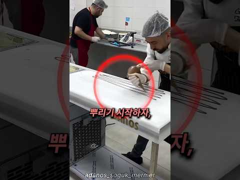 갑자기 빈 테이블에 초콜릿을 뿌리는 이유 thumbnail