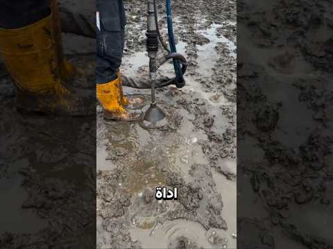 هكذا تتنفّس التربة من جديد؟ thumbnail