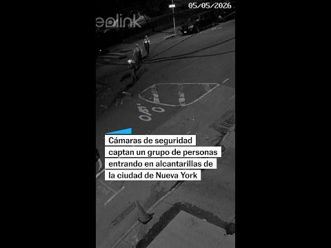NYPD Investiga el misterio: Grupos emergen de las ALCANTARILLAS de Nueva York #shorts thumbnail