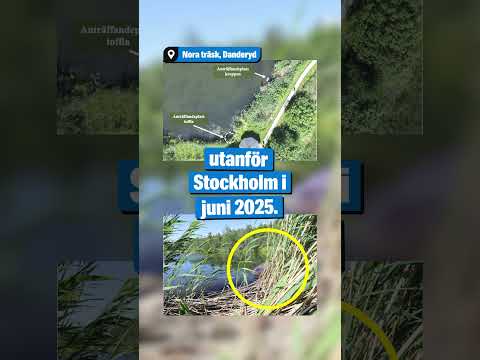 Kärlekspar styckmördade mamman – döms thumbnail
