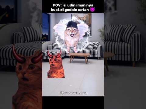 dingin tetapi tetap subuh ❄️😬 #memes #cat #kucinglucu #shorts #trending thumbnail