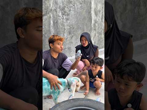 Warnain kambing rafasyah thumbnail