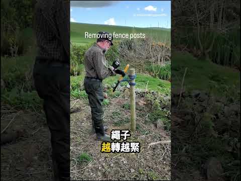 很多人不知道…原來木樁還能這樣拔出來 👀 thumbnail