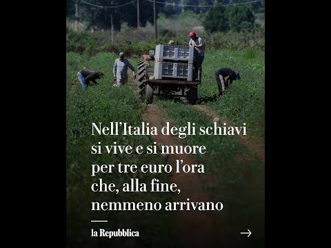Nell'Italia degli SCHIAVI si vive e si muore per TRE EURO l'ora thumbnail