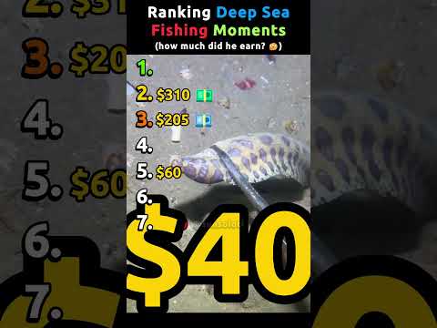 Ranking Deep Sea Fishing Moments Pt.7 | how much did bro earn? 🤔 #deepsea thumbnail