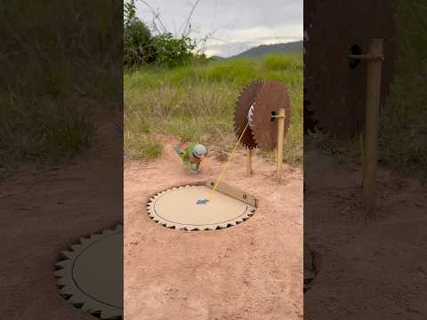Innovative Great Parrot TRAP #shorts thumbnail
