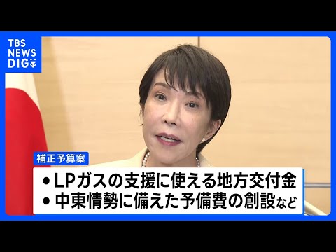 今年度補正予算案　来月3日に国会へ提出方針｜TBS NEWS DIG thumbnail